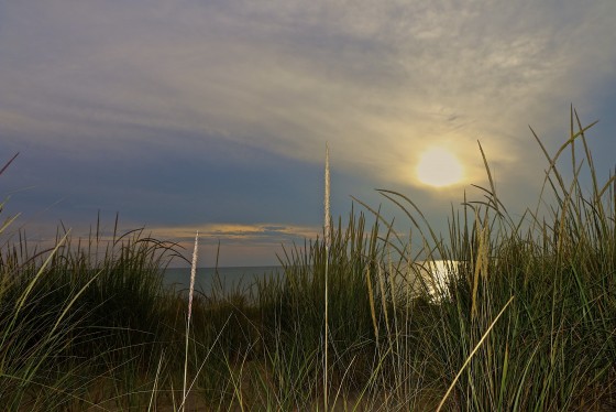Hiding in The Dunegrass
Lake Michigan