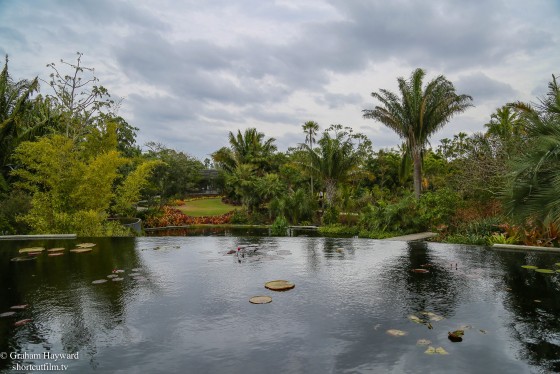 Naples Botanical gardens, Naples Florida
