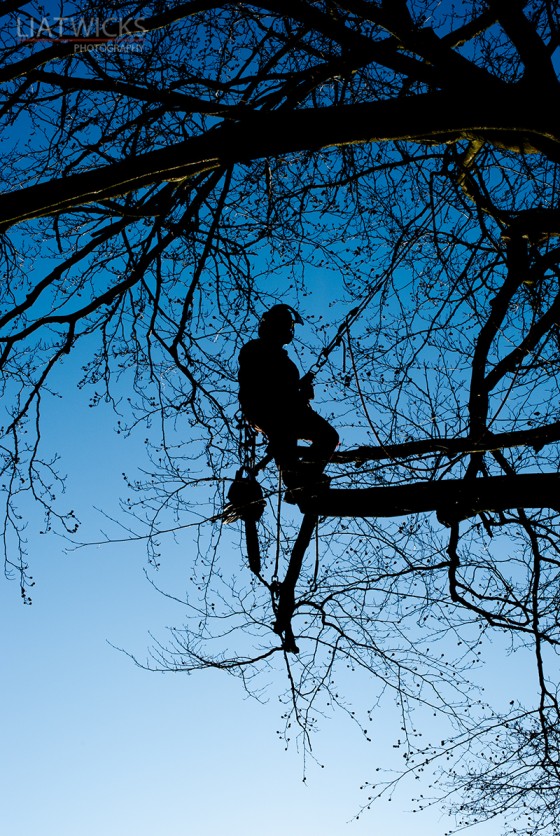 Environmental portrait - tree surgeon