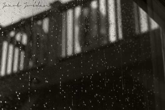 Photo 8 by Jacob Jordan for My Photography