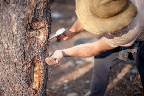 Photo 8 by Mat Rick Photography for Juniper Ridge