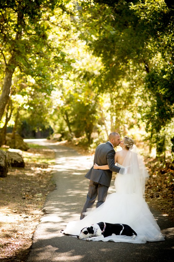 Photo 17 by Portraits by Shanti for Weddings