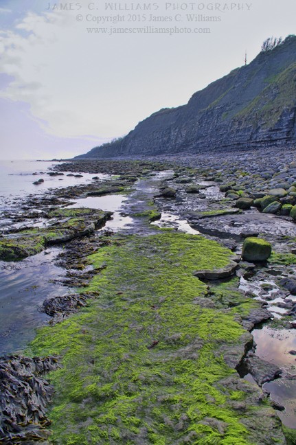 Algae and Cliffs, Southerndown Beach, South Wales