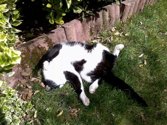 Sunbath