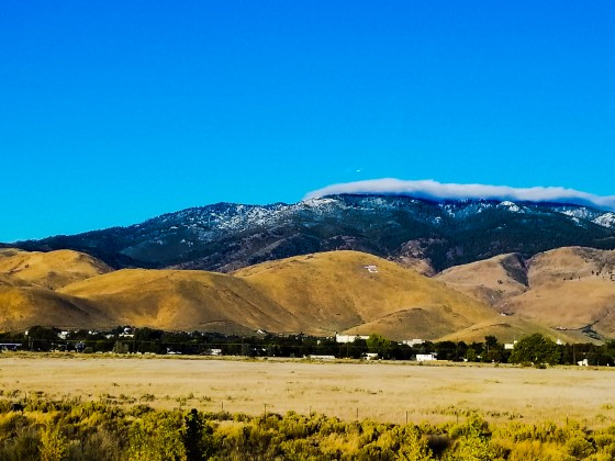 Nevada View