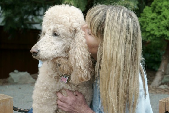 Photo 5 by Kristin Zabawa for SoulSessions - Soul to Soul Photography