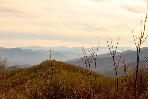 Photo 28 by Creative Maven for Nature Photography