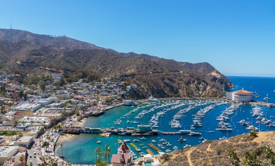 Catalina Island