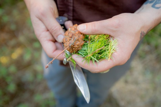 Photo 3 by Mat Rick Photography for Juniper Ridge