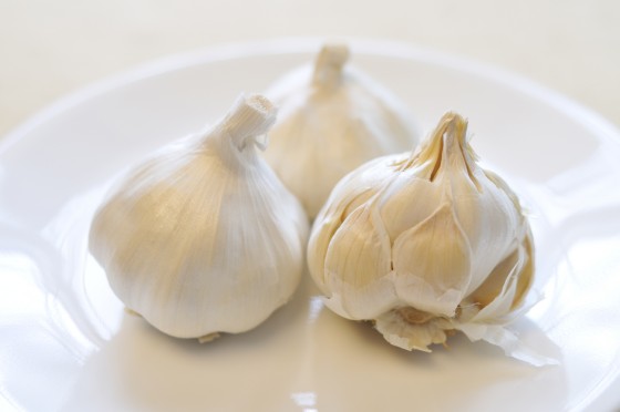 Garlic Food Photography
