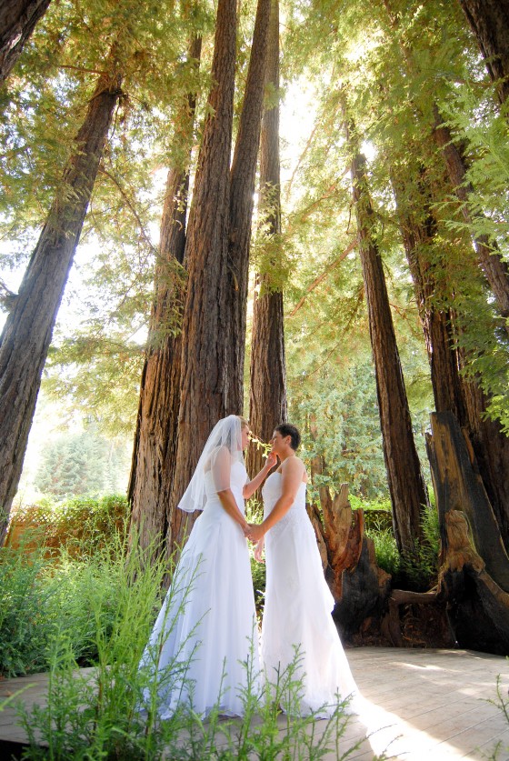 LGBTQ Wedding Photographer