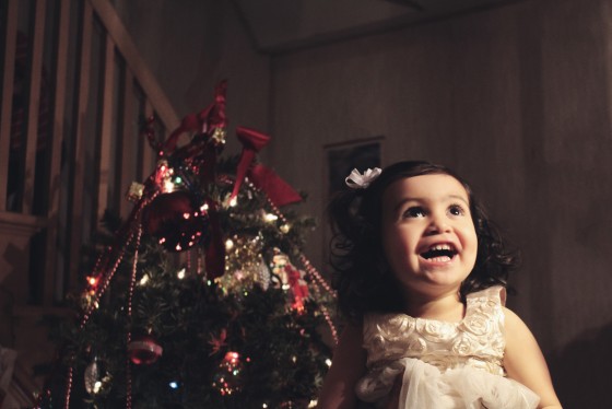 Photo 1 by Lillie Estelle for Angie's Christmas Portraits