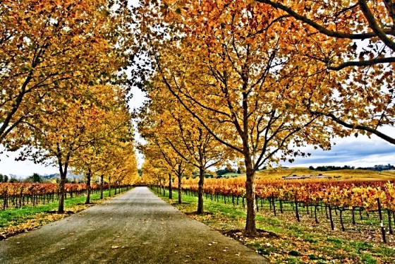 Stone Street Winery
Napa