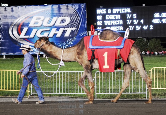 Photo 206 by Roy Caratozzolo for Sports Photography