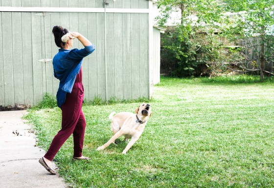 Photo 14 by for Pets and their Owners