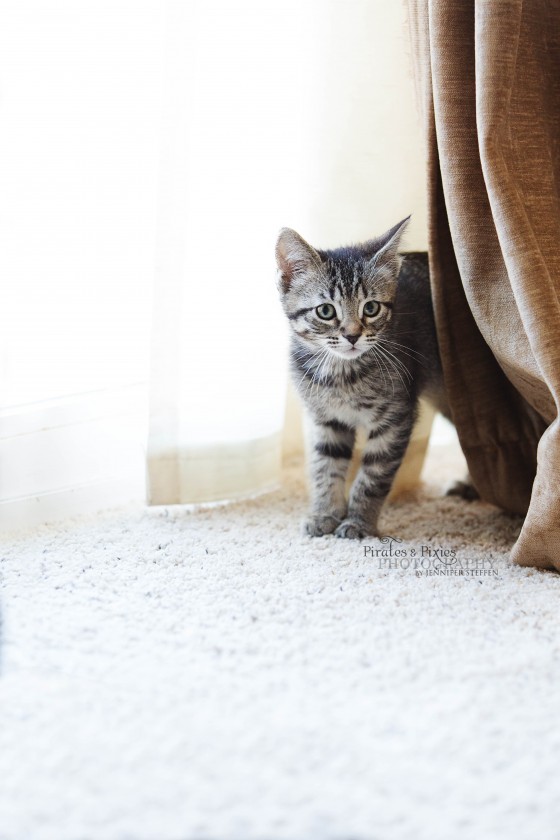 Photo 5 by for Animals