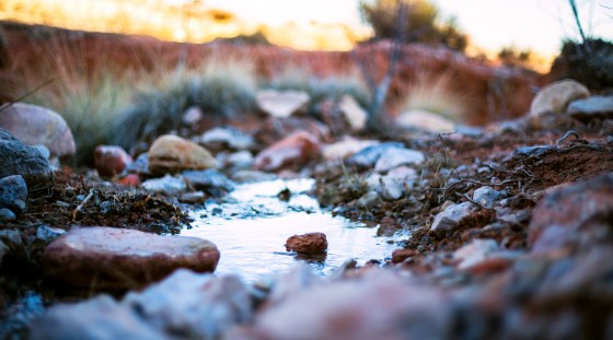 Photo 14 by Caslin for Landscape