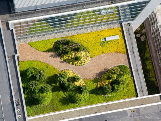 Aerial Photography for Landscape Architects