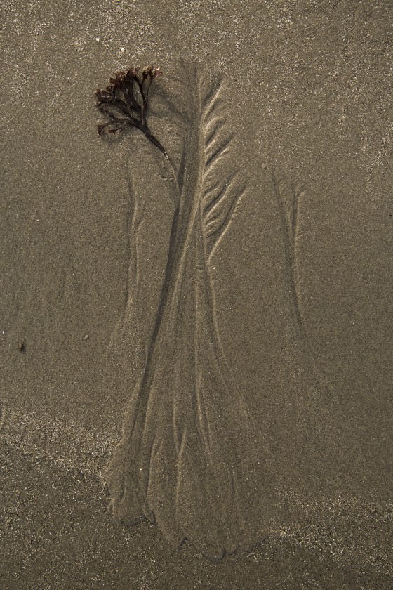 Photo 59 by Dan Minicucci for Personal Work