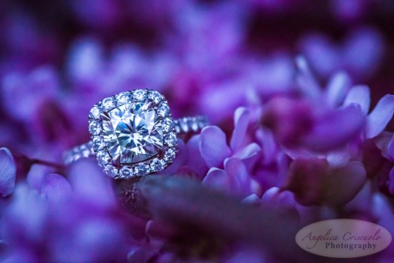 New York City Wedding Photograper
