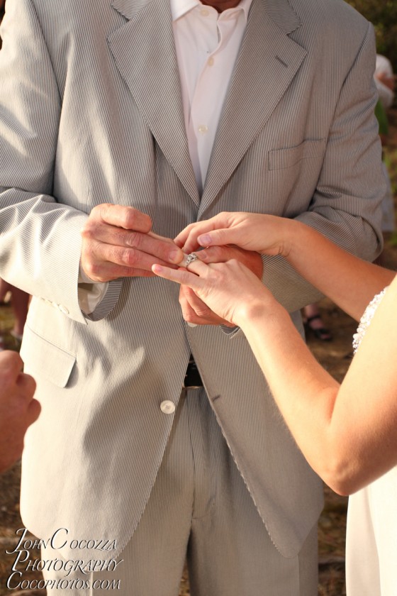 Photo 134 by John Cocozza Photography for Wedding Photography