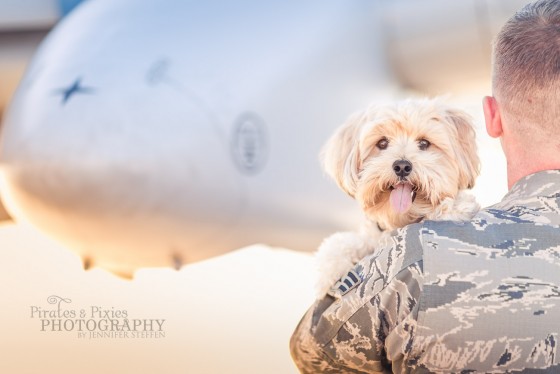 Photo 3 by for Animals