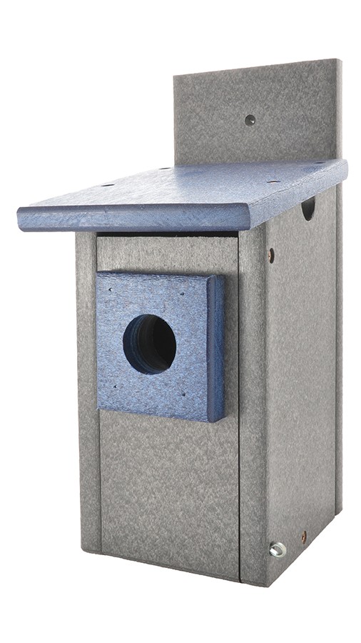 Bird Feeder