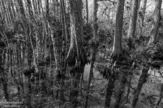 Clyde Butcher's place in the Big Cypress Preserve