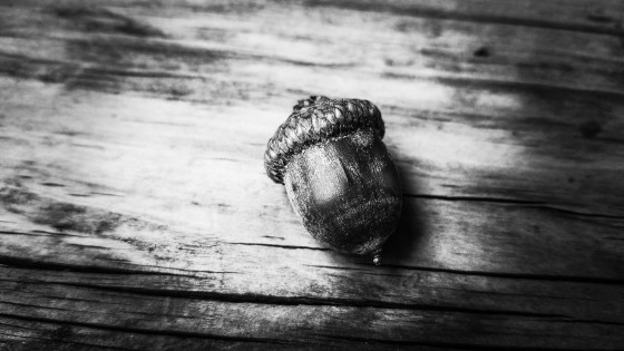 Wood Craft