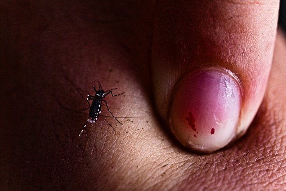 Photo 7 by Seth Fischer for Nature Photography