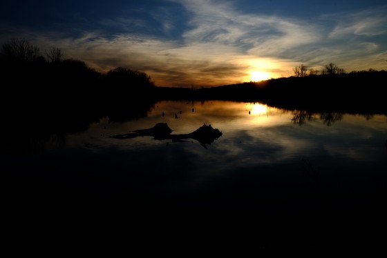 Photo 10 by Brook Harris for Landscape Photography
