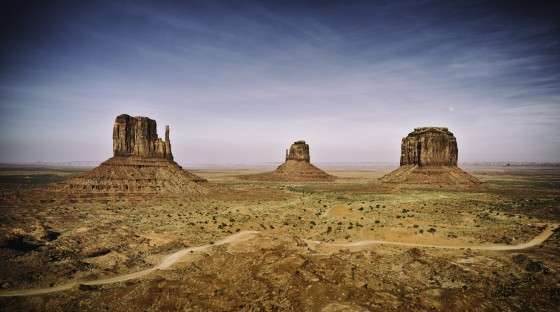 Photo 1 by Afonso Salcedo for Nature Photography