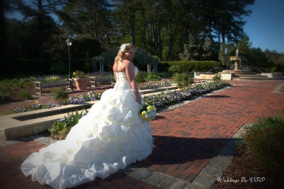 Weddings by VPP Bridal portaits in Virginia