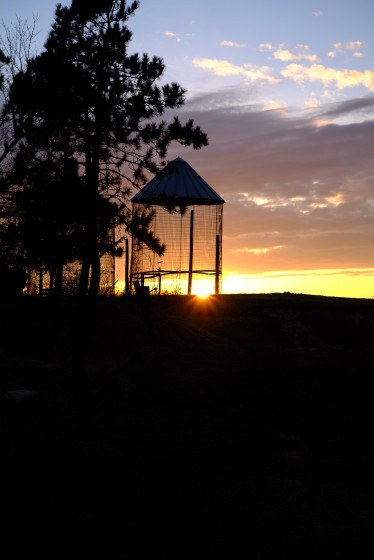 Photo 6 by Brook Harris for Landscape Photography
