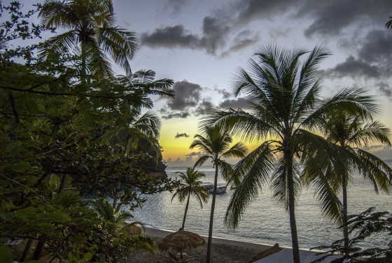 Paradise