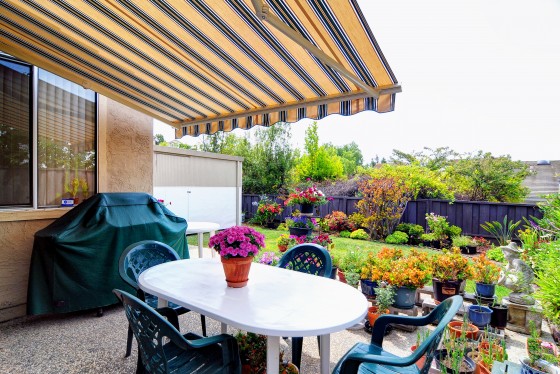 Patio Backyard