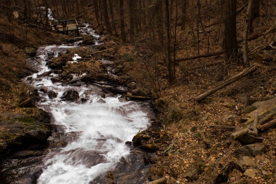 Photo 34 by Creative Maven for Nature Photography