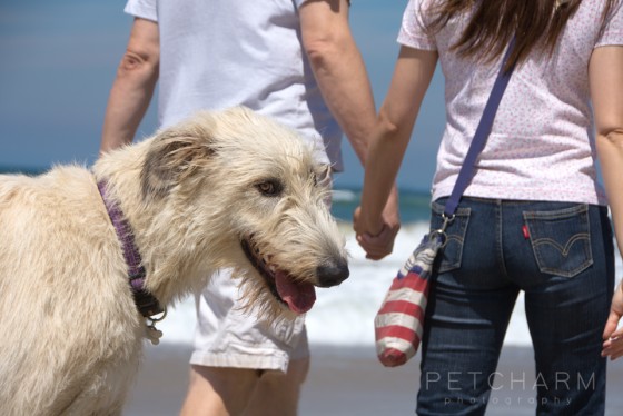 Photo 5 by Pet Charm Photography for Portfolio